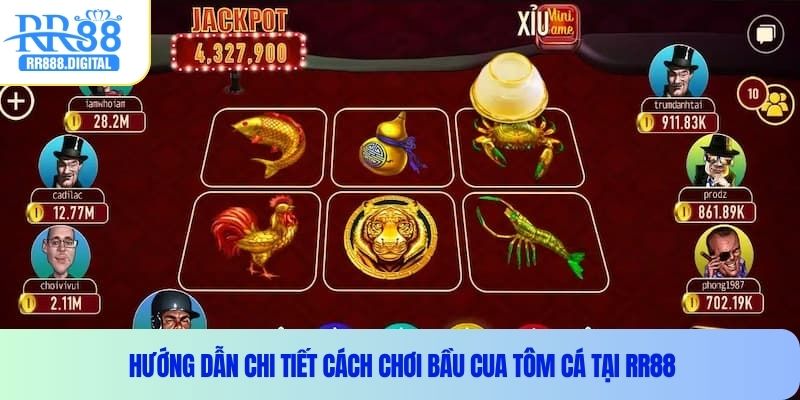 Hướng dẫn chi tiết cách chơi bầu cua tôm cá tại RR88