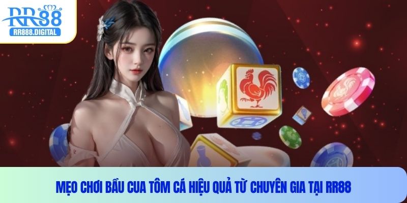 Mẹo chơi bầu cua tôm cá hiệu quả từ chuyên gia tại RR88
