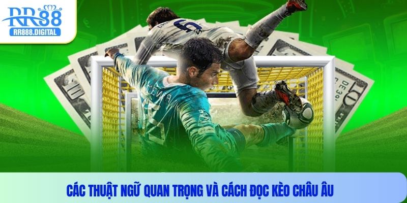 Các thuật ngữ quan trọng và cách đọc kèo châu âu