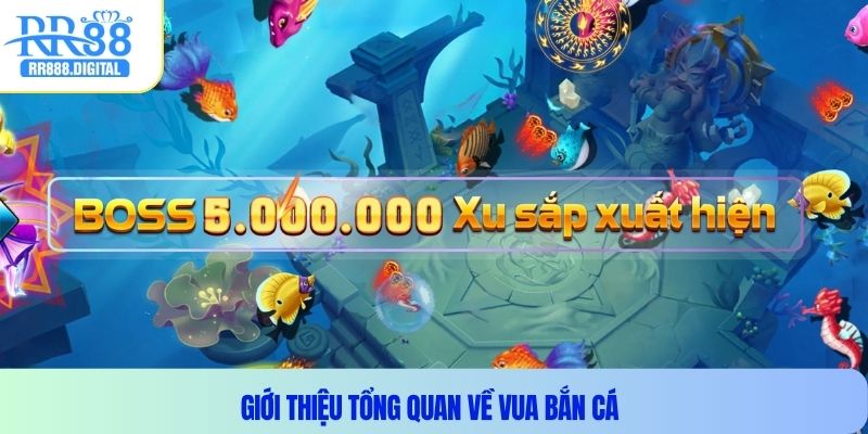 Giới thiệu tổng quan về vua bắn cá